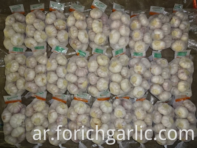 Best Quality Fresh Normal White Garlic 5 0cm